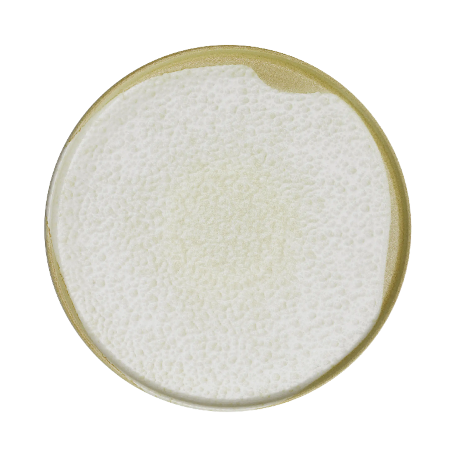 mini507f0b34-f347-4c5c-8737-9c45e28b30eb