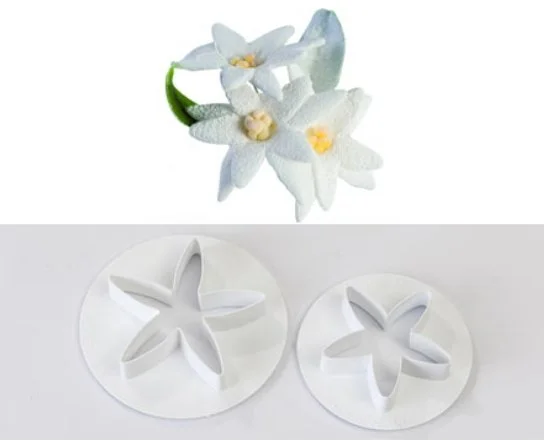 mini966abfdd-1eda-407e-8f6f-b2c4355ea0e0